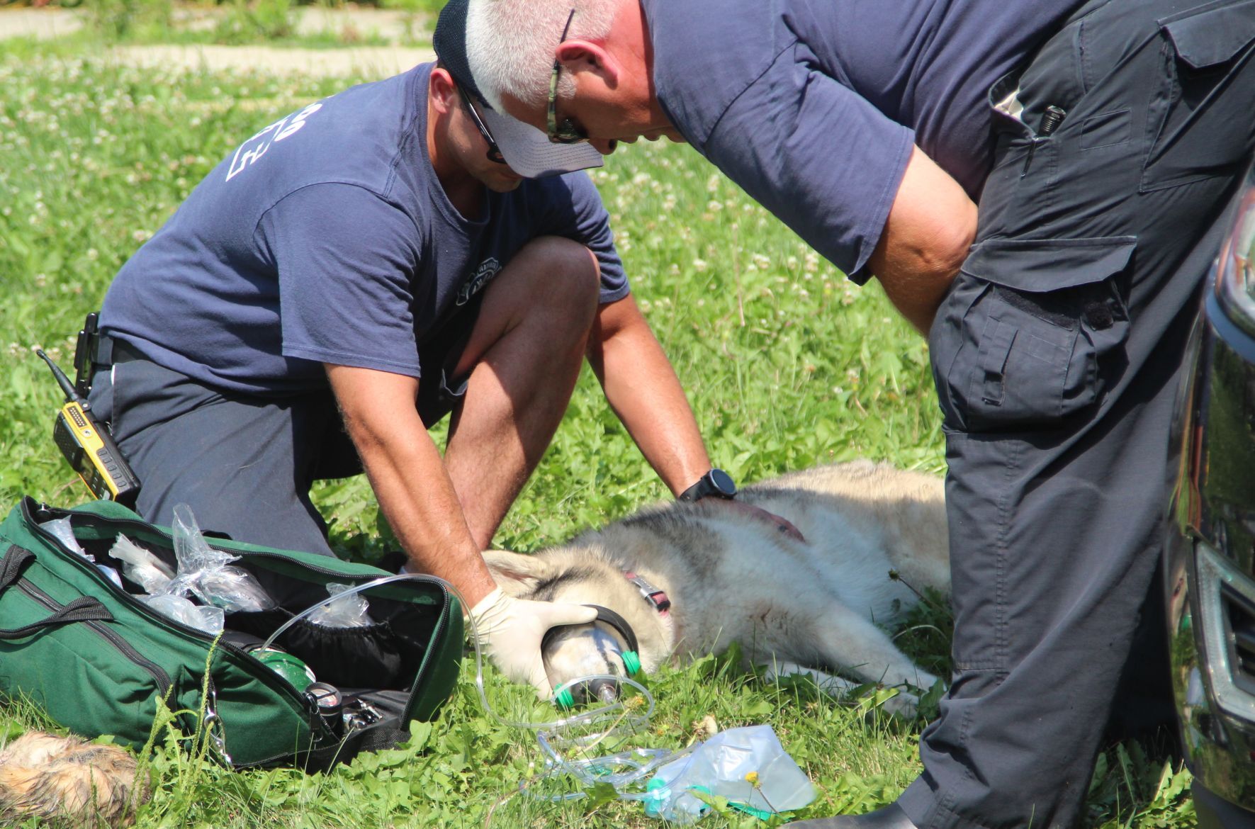 070521jr-fire-dog-3